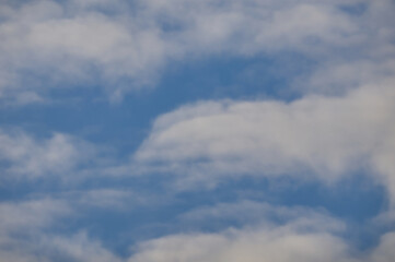 Fototapeta premium Soft white cumulus clouds against a clear blue sky background. Sky background texture.Looking up blue sky and white clouds at summer day.Bottom-up view of beautiful sky.Stretch ceiling sky photo. 