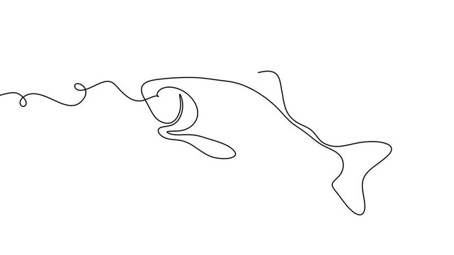 Salmon line fish continuous vector art icon tuna drawing trout seafood. Line fish salmon hand one simple outline illustration water type food hook linear sea fin pond day sketch silhouette logo ocean.