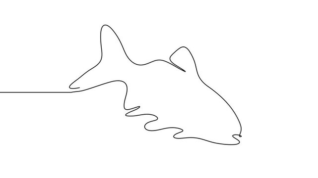 Salmon line fish continuous vector art icon tuna drawing trout seafood. Line fish salmon hand one simple outline illustration water type food hook linear sea fin pond day sketch silhouette logo ocean.