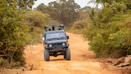 Four wheel off road jeep riding on the sandy terrain at Yala National park, Sri Lanka © Saminda