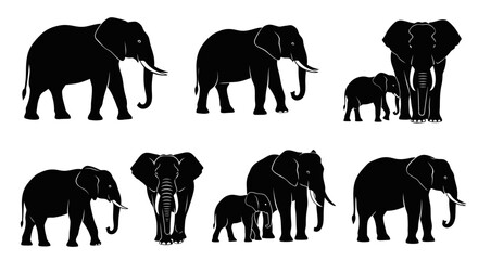 Elephant Silhouette Vector Collection © indiani