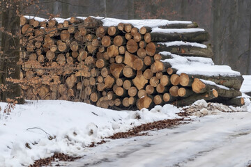 Ścięte pnie drzew liściastych w zimowym lesie przy drodze, stos drewna pokrytego śniegiem, starannie ułożony w zimowym lesie przy zaśnieżonej drodze. Śnieg częściowo pokrywa kłody, © Grzegorz
