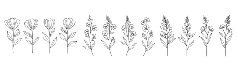 Monochrome floral sketch: line art of various flowers and leaves