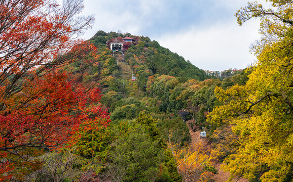 Scenic sight of Hachiman-bori canal in Omihachiman during fall season. Kansai region, Shiga Prefecture, Japan.