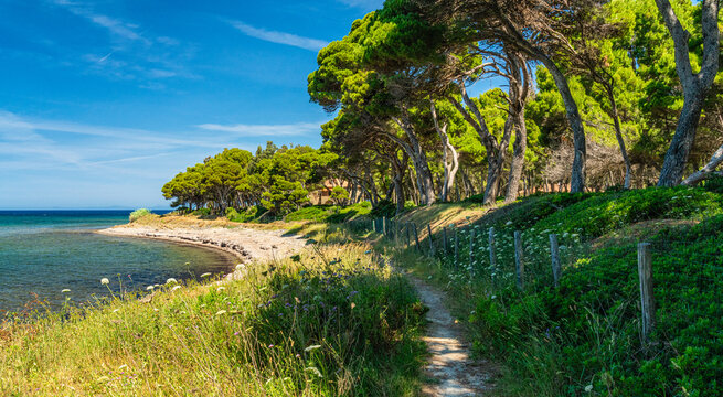 Beautiful mediterranean landscape at Punta Licosa, near Castellabate in the Cilento region. Province of Salerno, Campania, Italy.