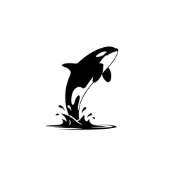 Obraz premium Orca whale leaping out of the ocean water in a black and white illustration.