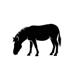 Obraz premium Silhouette of a grazing horse in black and white, perfect for design.