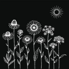 Monochromatic line art of wildflowers and sun 