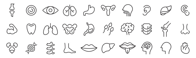 Fototapeta premium Human anatomy, body parts and medical education outline icons set