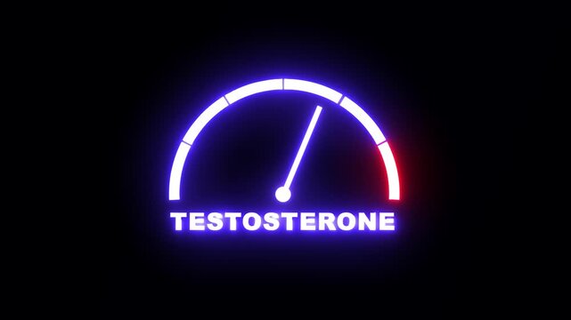 Testosterone level meter showing progress from beginner low blue zone to expert high red zone. Testosterone level speedometer gauge with low and high levels. 4k video animation