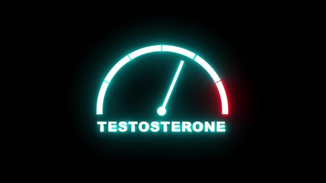 Testosterone level meter showing progress from beginner low cyan zone to expert high red zone. Testosterone level speedometer gauge with low and high levels. 4k video animation