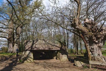 The covered alley of the  site of La Roche-aux-F&eacute;es, Brittany, France.