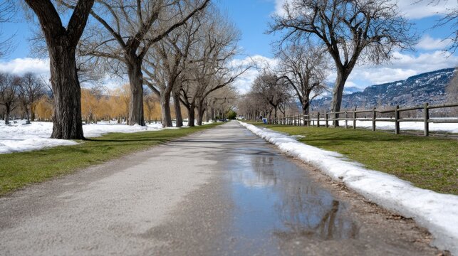Snow-melted pathway lined with bare trees and green grass under a clear blue sky in early spring, with reflections visible in puddles along the road