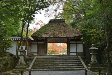 法然院　秋の山門(京都市左京区)