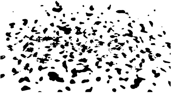 Abstract black ink splatter texture vector graphic. Irregular organic dots and blotches create a distressed, grunge effect, isolated on a transparent background.