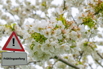 Fr&uuml;hlingsanfang Apfelbl&uuml;te