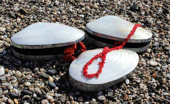 Elegant seashell jewelry boxes with coral beads on pebbles