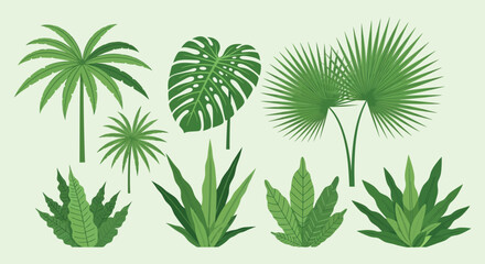 A vibrant collection of tropical foliage featuring diverse leaf shapes and textures presented as a bold silhouette high quality professional detailed © mrvect02