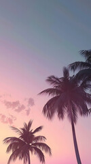 Obraz premium A Clean look tropical scene with a few palm trees