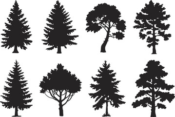 Collection of pine and deciduous tree silhouettes isolated on white background, black forest vector illustrations in detailed natural shapes for landscape design