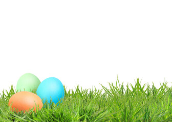 Fototapeta premium Easter eggs in green grass against white background