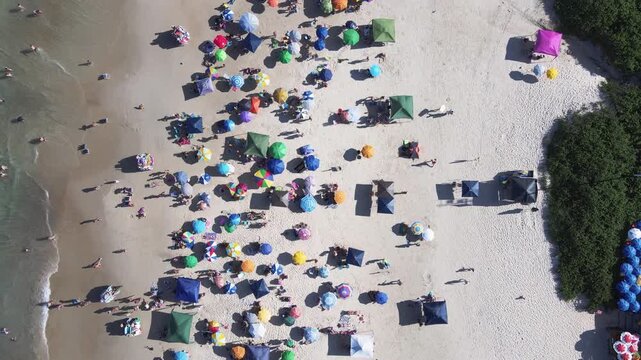 Top down aerial view of colorful beach umbrellas and people on the white sand of Santinho Beach in Florianopolis, Brazil, during peak summer season.
