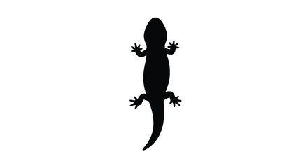 A striking black lizard form against a white backdrop silhouette © RASHIDA