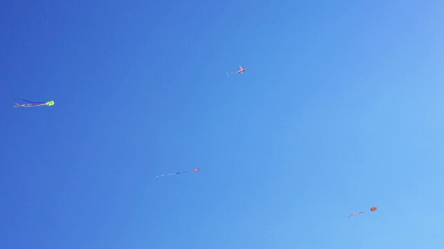 Several colorful kites flying and drifting high across clear blue sky with long tails fluttering in wind on sunny day, Outdoor activity, Family leisure