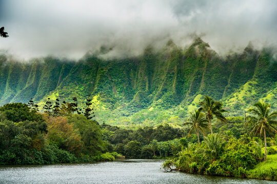 USA, Hawaii, Oahu.  Ho'omaluhia Botanical Garden.  Loko Waimaluhia Reservoir