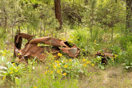 Canada, BC, Lytton.  The remains of an old demolished car in the Thompson River Canyon