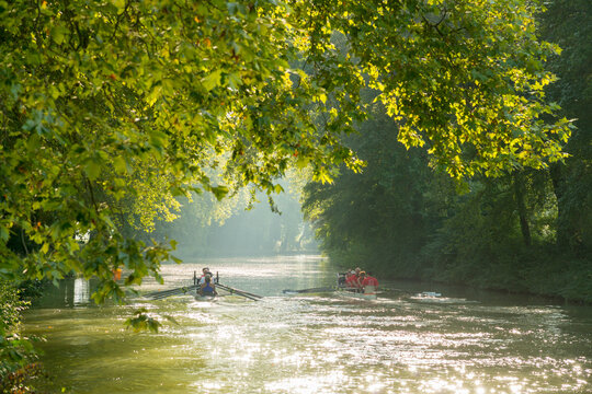 EU; France; Avignonet Lauragais. Rowers plying the waters of the Canal du Midi.  Plane trees (Platanus &times; hispanica) overhanging the historic canal.
