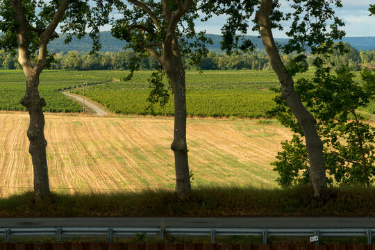 EU, France, Ventenac. Rural countryside along the Canal du Midi.