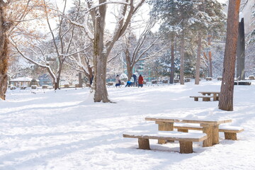 陽光きらめく雪の公園、冬の静けさと温もり