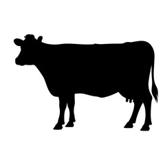 Silhouette of a cow with a white background