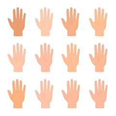 Obraz premium A collection of twelve diverse hands with palms facing forward