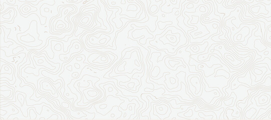 Fototapeta premium Topographic Contour Map Background with Abstract Elevation Lines and Minimal Terrain Pattern Design.