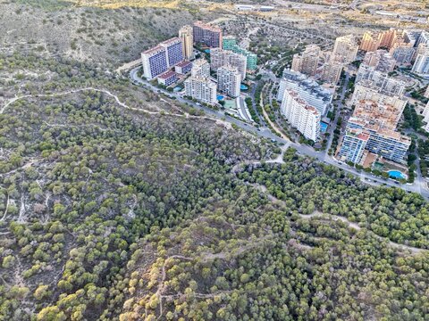 photograph capturing greenbelt edge where forest meets urban structures under clear sunlight