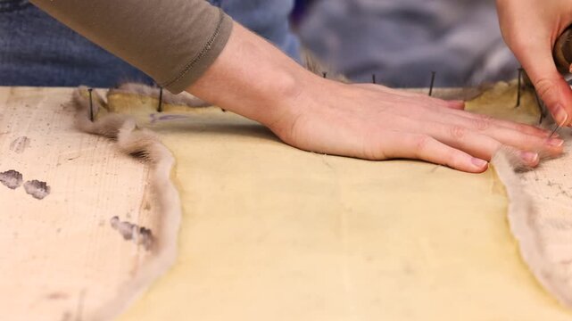 Detailed view of untreated small animal hide placed on wooden workbench inside traditional fur studio. Inner leather side visible displaying grain structure and material quality
