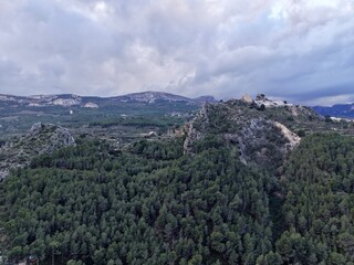 Fototapeta premium Thick woodland landscape, Sprawling forest of pine covering hills with scenic paths and lookout points