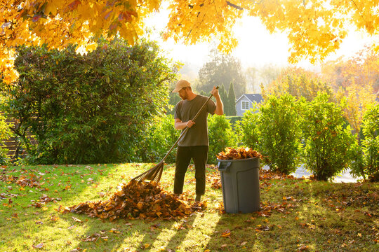 Man doing yard work.