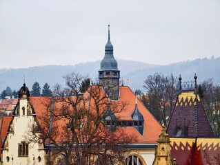 Decorative rooftops showcased. Intricate facades featuring vibrant orange tiles and spire accents © Vladimir