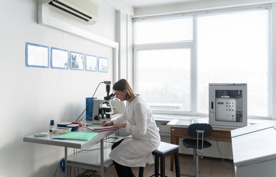 Researcher Working At The Desk In The Lab