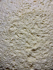Close-up macro of fresh yeast dough with visible air bubbles and porous texture. Natural beige dough surface during fermentation. Abstract food background with organic pattern, baking process detail.