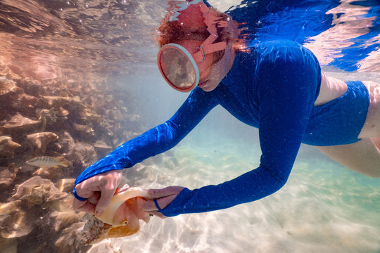 Snorkeling Holding Caribbean Conch Shell Anegada BVI