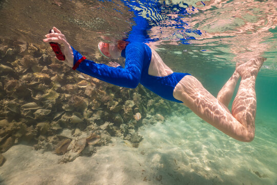 Snorkeling at Conch Shell Island Anegada BVI on Caribbean Vacation
