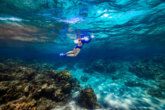 Swimming at Shallow Caribbean Tropical Coral Reef