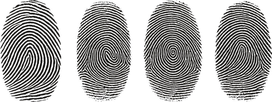 black and white human fingerprint patterns, showing unique ridge details