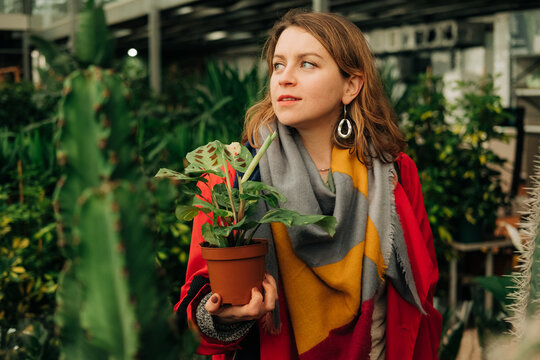 Woman with maranta plant in her hands in a greenhouse