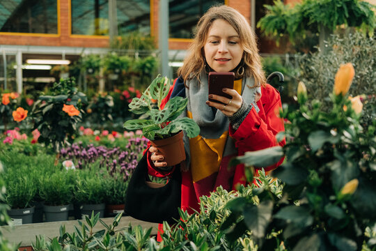 Woman using phone while selecting plants in a plant nursery