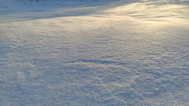 The glint of sunlight on the snow №1